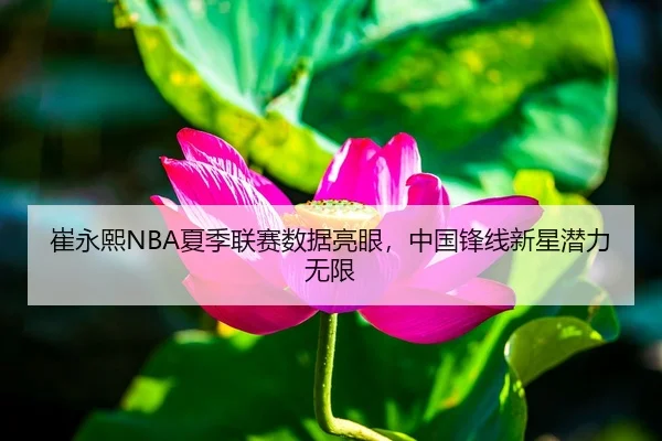崔永熙NBA夏季联赛数据亮眼，中国锋线新星潜力无限